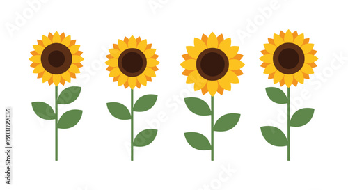 Sunflower Line art color filled abstract design