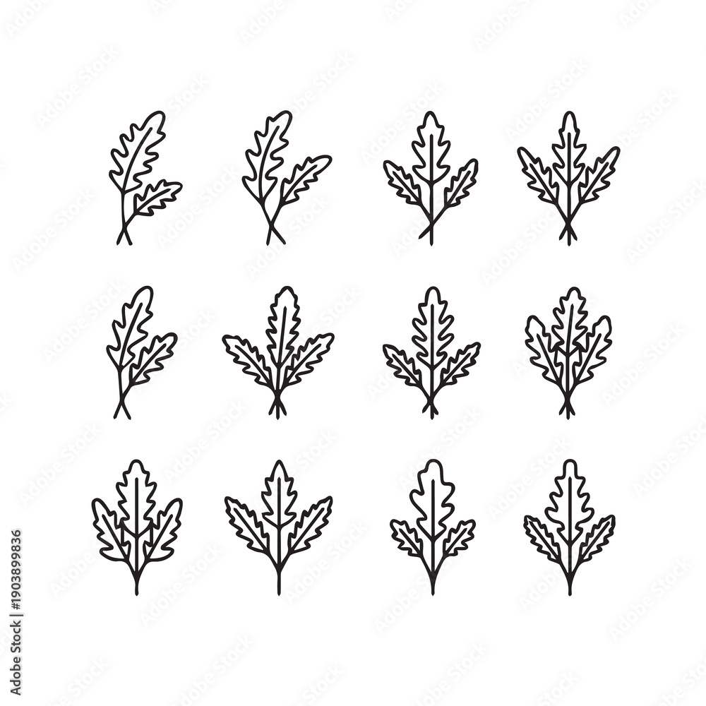 Fototapeta premium Collection of Hand Drawn Oak Leaves Vector Illustration, Simple Outline Botanical Elements