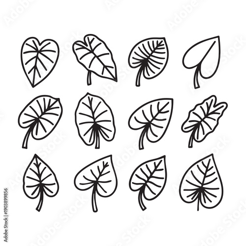 Collection of Hand Drawn Taro Leaves in Different Shapes and Styles - Stock Illustration