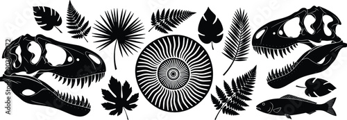 Prehistoric fossil silhouettes collection, dinosaur skulls ammonite shells and fern leaves vector illustration set isolated on white background