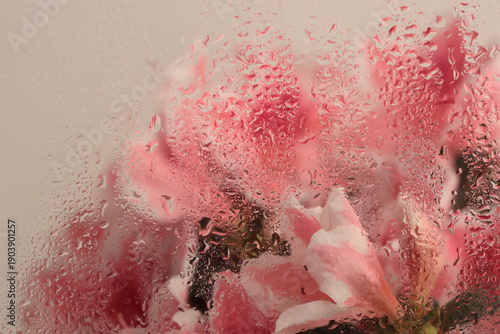 Fotografija Smoke close up soft focus pink Flower bouquet through glass with water drops