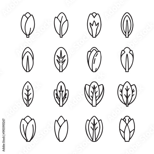Collection of Line Art Icons Representing Various Leaf and Vegetable Shapes