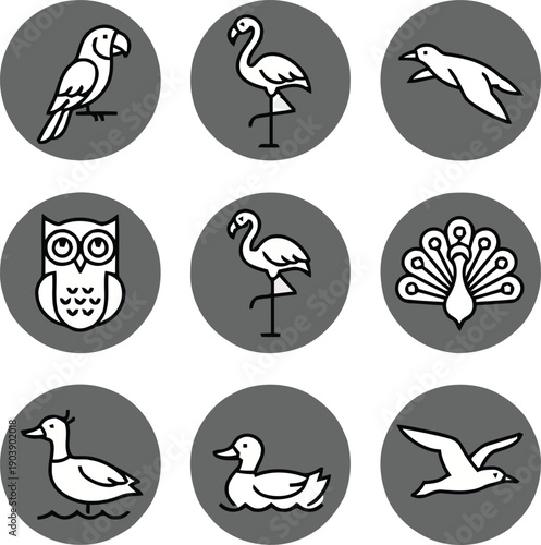 Nine Bird Icons: Parrot, Flamingo, Seagull, Owl, Duck, Peacock Outline Vector