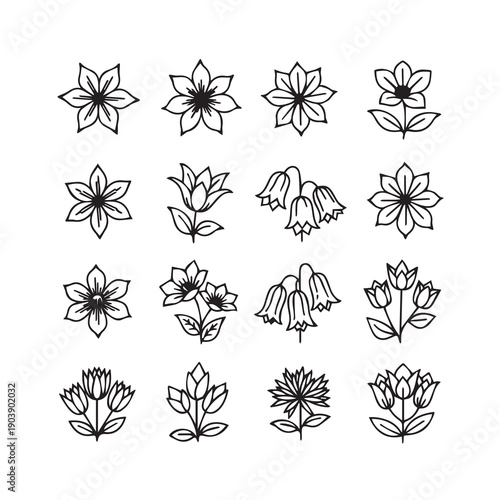 Collection of sixteen hand-drawn floral illustrations on white background