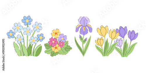 Spring flowers set. Easter bouquets of blue forget-me-nots, colorful primrose flowers, purple iris, and yellow and violet crocuses with green leaves on white background. Botanical collection.