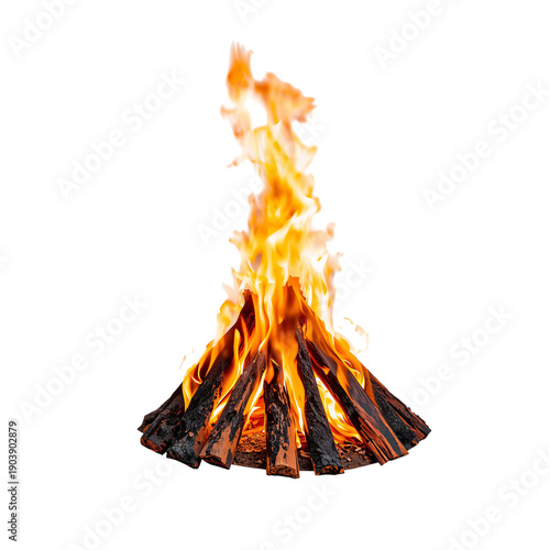 Fire Burns Brightly in a Circle of Wood During the Night at a Camp