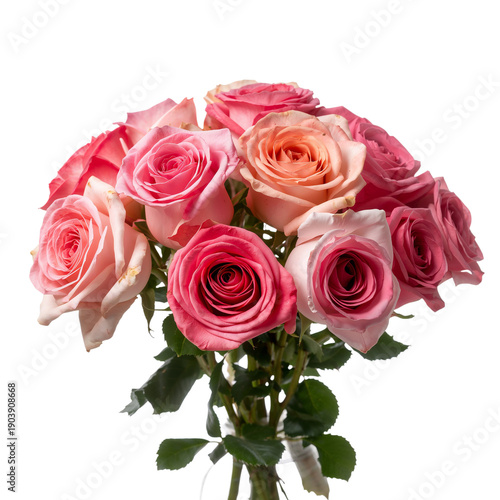 Roses in Shades of Pink and Peach on a White Background for a Floral Arrangement