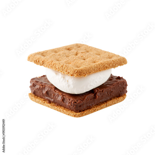 Delicious Treat Made With Graham Crackers, Chocolate, and Marshmallow for Out...