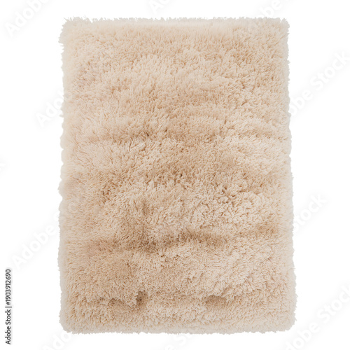 Soft Beige Rug Placed on a Floor in a Simple Indoor Setting