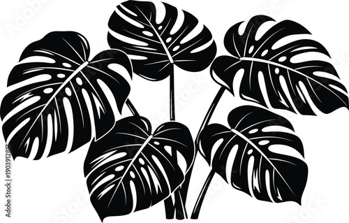 Monstera Plant Leaves Black and White Illustration