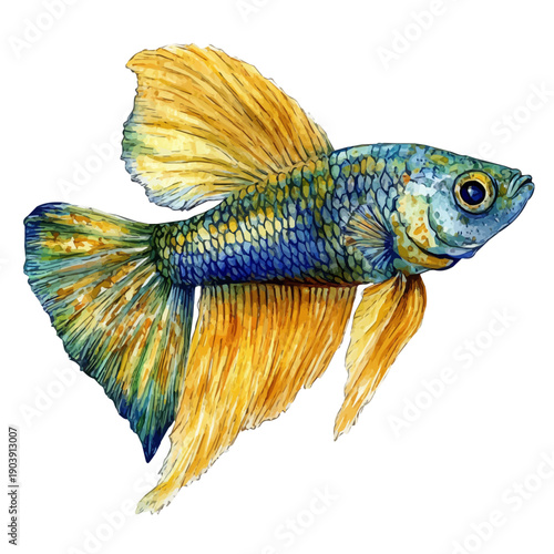 Guppy Fish, serene watercolor vector artwork with smooth washes of color and refined textures, isolated on a white background.