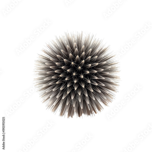 Metal Object With Spikes Placed on White Background in Studio Setting