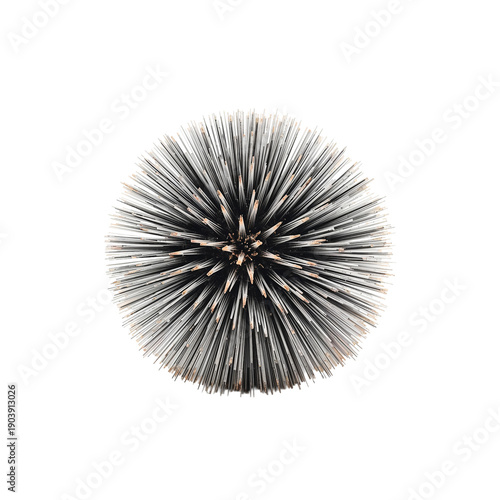 Metal Object With Spikes Placed on White Background in Studio Setting