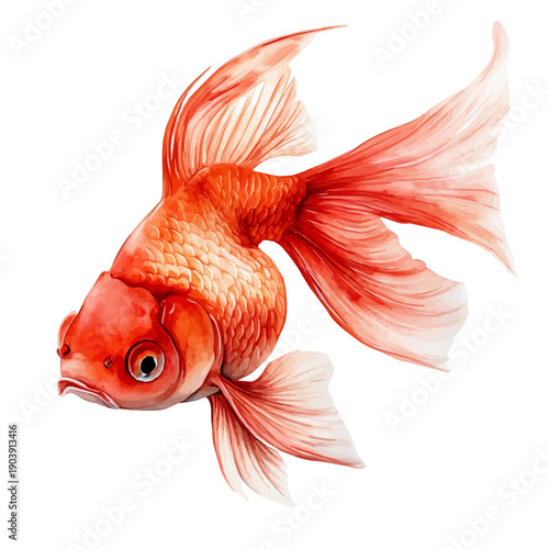 Goldfish, playful watercolor vector painting with subtle shadowing and soft gradients, isolated on a white background.