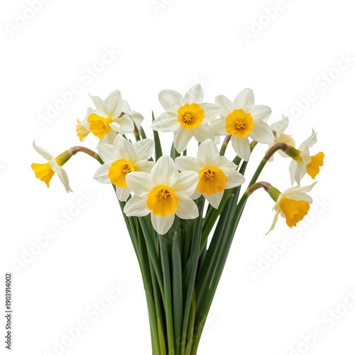 Yellow and White Flowers Are Arranged in a Simple Bunch for Display on a Clea...