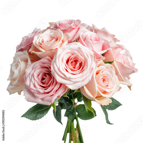 Bouquet of Pink Roses Held in Hand at a Bright Indoor Setting During the Day