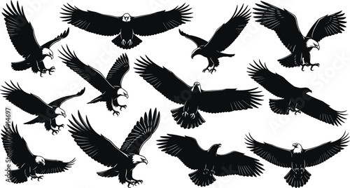 Eagle silhouette illustration, flying bird artwork, majestic raptor vector, black and white wings design, wildlife predator motif, powerful flight inspired drawing