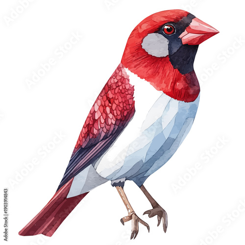 Finch, serene watercolor vector artwork with smooth washes of color and refined textures, isolated on a white background.