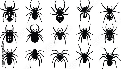 Spider silhouette illustration, arachnid artwork design, black insect motif, entomology vector drawing, stylized spider abdomen patterns, symmetrical arachnology study graphic