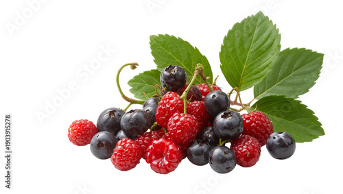 Fresh Berries on a White Background With Leaves Showing Details of Colors and...