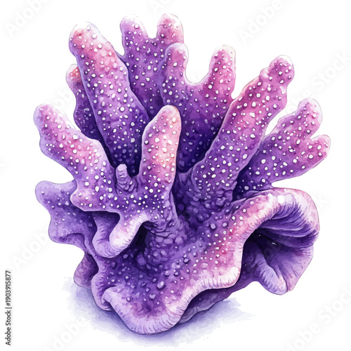 Coral, serene watercolor vector artwork with smooth washes of color and refined textures, isolated on a white background.