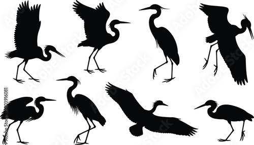 Heron and crane bird silhouettes collection, flying and standing water birds, black wildlife vector illustration set isolated on white background
