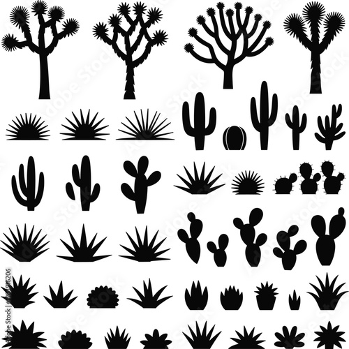 Desert cactus and succulent silhouettes collection, yucca agave and cacti plants, black vector illustration set isolated on white background