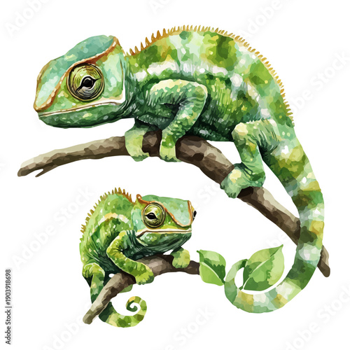 A Mother Chameleon With Her Kid, high quality watercolor illustration with transparent textures, isolated on a white background.