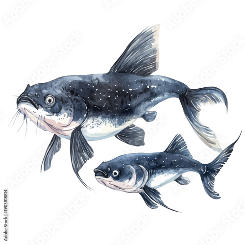 A Mother Catfish With Her Kid, vibrant watercolor vector illustration with flowing and detailed brush strokes, isolated on a white background.