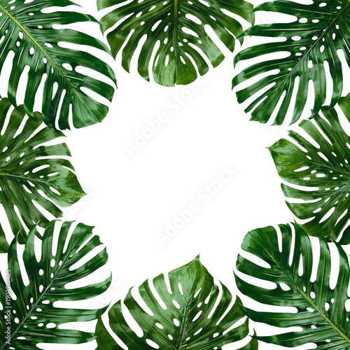 Leaves Form a Border Around an Empty Space Showing Natural Shapes in Green Color