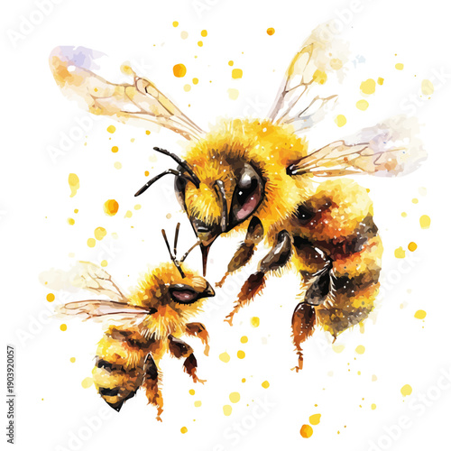 watercolor graphic of A Mother Bee With Her Kid, isolated on a white background.