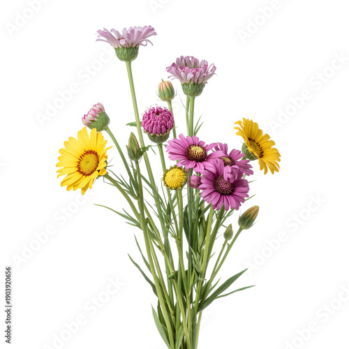 Bright Flowers With Yellow and Purple Petals Arranged in a Simple Bunch on a ...