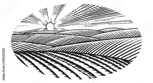 Rustic meadow hand drawn village sunset landscape illustrations with fields full of grass. Beautiful rural scentic view for milk, cheese farm products. Eco natural food engraving.