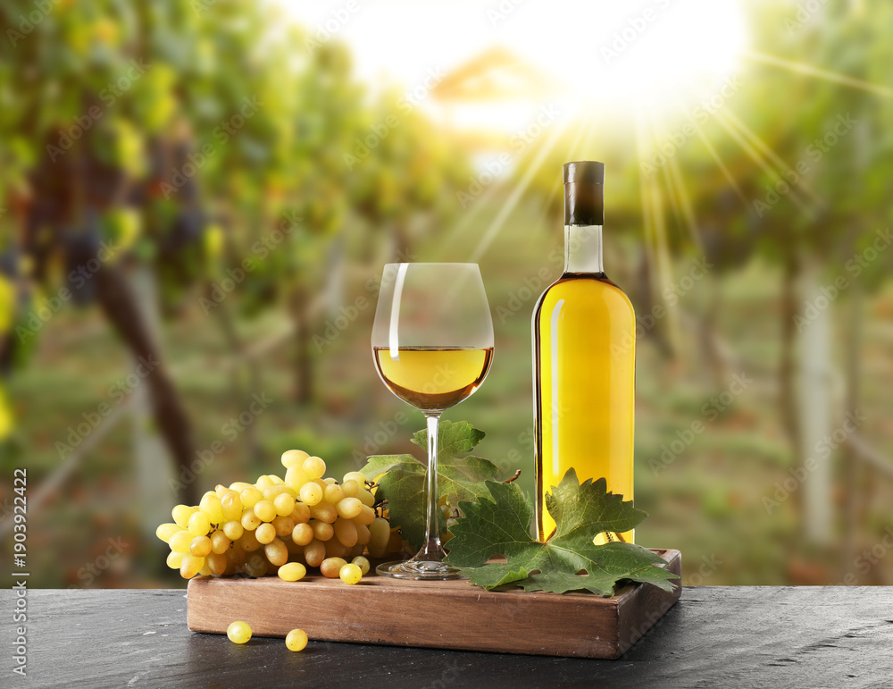Naklejka premium Wine and fresh grapes on table. Glass and bottle in vineyard