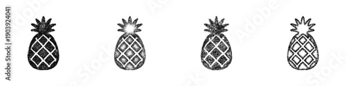 Sketch pineapple icon design set