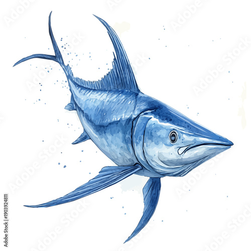 watercolor graphic of Swordfish illustration, isolated on a white background.