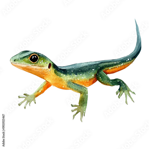 Small Pet Lizard, high quality watercolor, isolated on a white background, vibrant details.