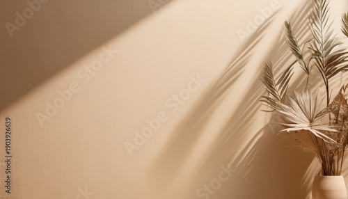 aesthetic beige background floral shadow copy space