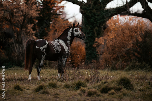 Horrorpony