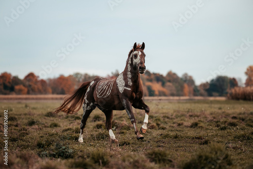 Horrorpony