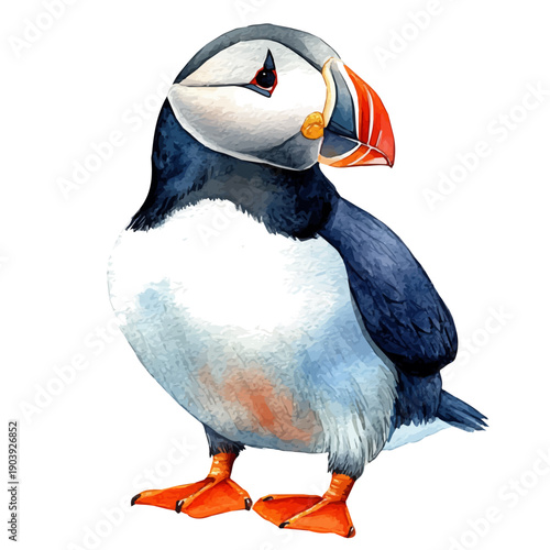 Puffin, beautiful watercolor illustration, isolated on a white background, soft and delicate colors.