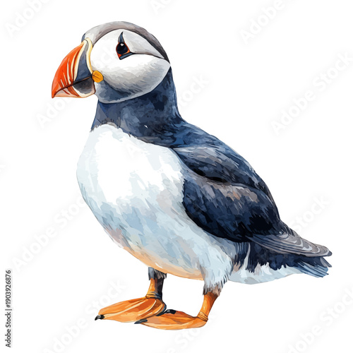 Puffin, soft and charming watercolor, isolated on a white background, delicate and elegant style.