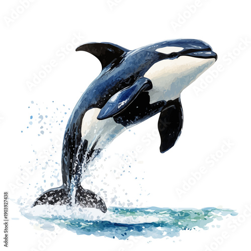 Orca, detailed watercolor painting, isolated on a white background.