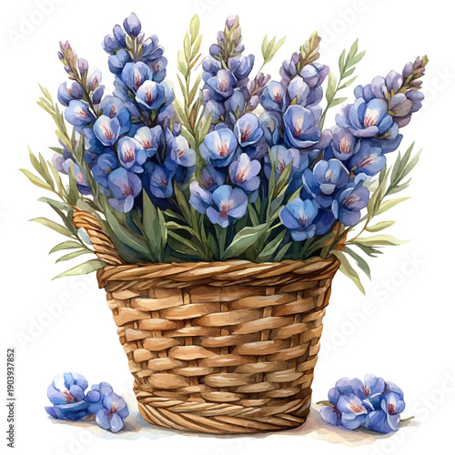 Angelonia Bouquet In A Basket, watercolor painting capturing graceful lines and soft blended shades, isolated on a white background.