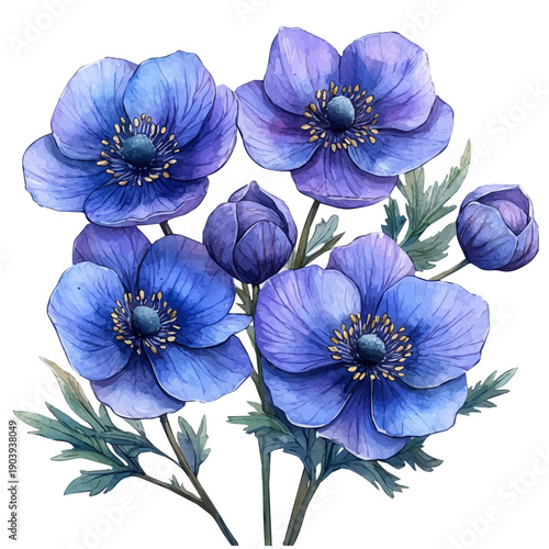 watercolor painting of Anemone Branch, isolated on a white background.