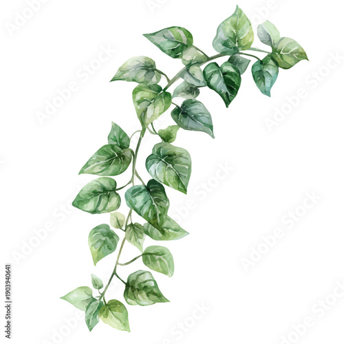 Trailing Jade High Quality, watercolor artwork with intricate patterns and vibrant, isolated on a white background.