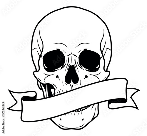Hand drawn line art illustration of a human skull depicting a blank banner ribbon for design elements