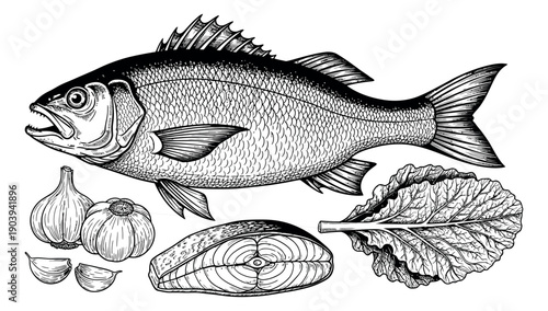 Hand drawn line art food set featuring fish, salmon, garlic, and leafy greens for cooking and recipes