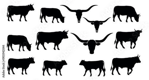 Silhouette cattle set featuring cows, bulls, and longhorn heads for farming and ranching
