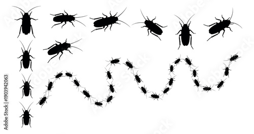 Silhouette cockroach set featuring individual insects and a crawling trail for pest control concepts